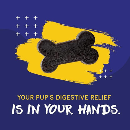 PupGrade Digestive Support Chews for Dogs - Prebiotic and Probiotic Supplement with Enzyme Blend - Upset Stomach, Diarrhea, Bowel, and Immune Support - Pumpkin, Blueberry, Mineral Oil - 60 Soft Chews