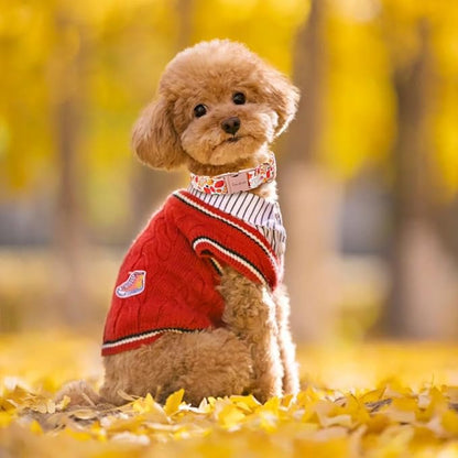Unique style paws Thanksgiving Dog Collar Metal Buckle Collar for Autumn Winter Christmas for Small Medium Large Boys Girls Dogs
