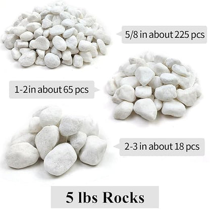 20lb White River Rocks for Landscaping, 5/8 Inch Natural Pebbles for Indoor Plants, Snow White Decorative Stones, Ideal for Fish Tank, Vases, Crafting, Home Decor and Garden Rocks