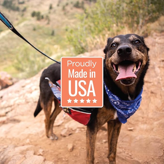 Smart Cookie All Natural Dog Treats - Shrimp & Coconut - Training Treats for Dogs with Allergies, Sensitive Stomachs - Soft Dog Treats, Chewy, Grain Free, Human-Grade, Made in USA - 5oz, Pack of 3