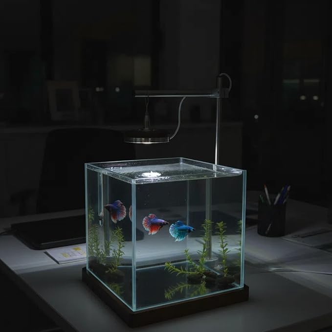 1.8 Gallon Fish Tank with LED Light & Wood Stand - 8 Inch Nano Aquarium Betta Tank Starter Kit - Includes Cleaning Tool, Cloth & Mat for Desktop, Office, Bedroom