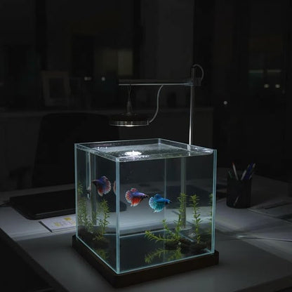 1.8 Gallon Fish Tank with LED Light & Wood Stand - 8 Inch Nano Aquarium Betta Tank Starter Kit - Includes Cleaning Tool, Cloth & Mat for Desktop, Office, Bedroom