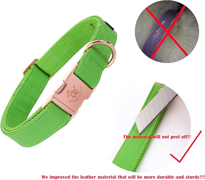 Elegant little tail Dog Collar and Leash, Girl or Boy Durable Pet Collar, Leather Dog Collar Adjustable Dog Collars for Small Dogs