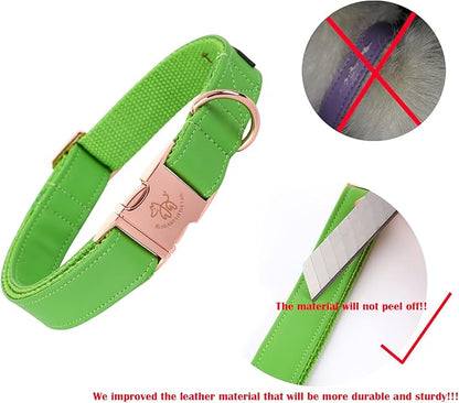 Elegant little tail Dog Collar and Leash, Girl or Boy Durable Pet Collar, Leather Dog Collar Adjustable Dog Collars for X-Small Dogs