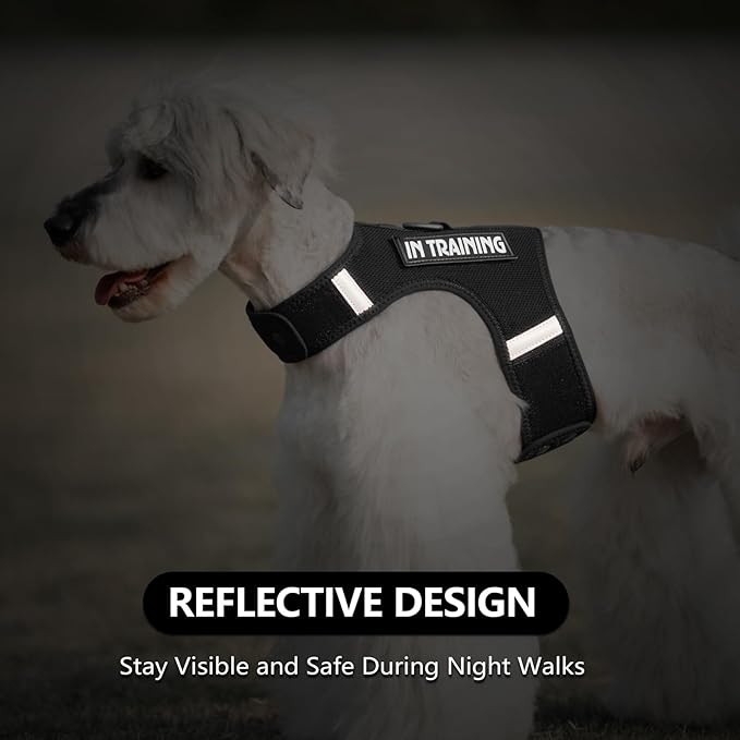Dog Harness for Puppy – Adjustable Reflective Easy Put On Soft Mesh Vest for Small Dogs with 2 Patches (Black,XS)