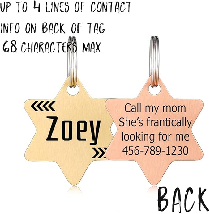 MYXGY Stainless Steel Pet ID Tag, Personalized Dog Name Tags, Customized Cat Tags, Deep Laser Engraving, Optional Engraved on Both Sides, Various Design Options