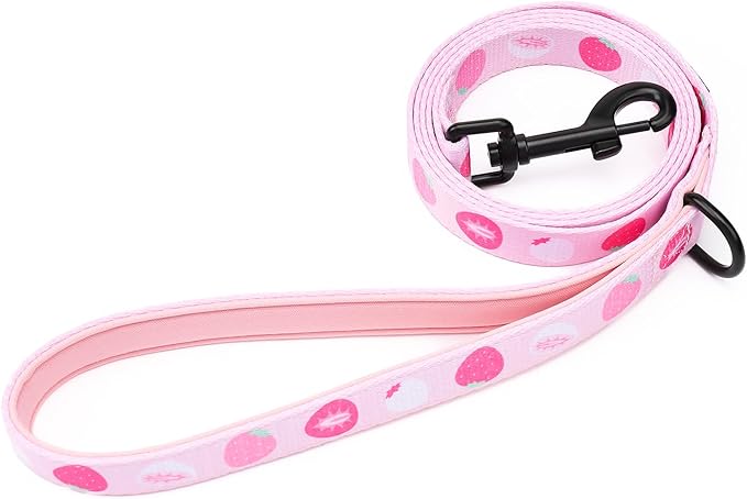 Dog Harness and Leash Set, Adjustable Dog Harness, Dog Leash, No Pull No Choke Puppy Harnesses for Walking Training for Small Medium Pet (Strawberries, XS(Chest 9.9-13.5", Neck 7.8-10.2"))