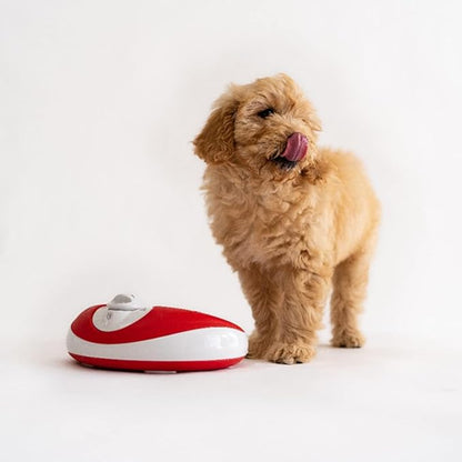 TORUS Filtered Portable Dog Water Dispenser [Upgraded 2025], 1L / 34oz, Automatic Pet Water Dispenser, No Spill, Noise-Free Dog Water Bowl Dispenser, No Power, Ideal for Small Pups and Purrfect Cats