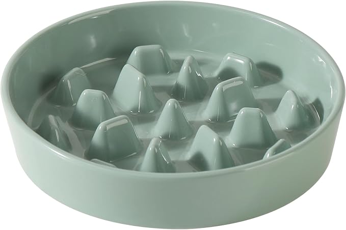 Ceramic 3.2 Cup Dog Bowl Slow Feeder, 9.5 inch Slow Pet Food Dish for Large Dog, Stop Bloat, Preventing Choking(Single Bowl,Light Green)