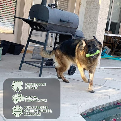 Jalousie 18 Pack Dog Squeaky Toys Cute Stuffed Pet Plush Puppy Chew for Small Medium Pets - Bulk