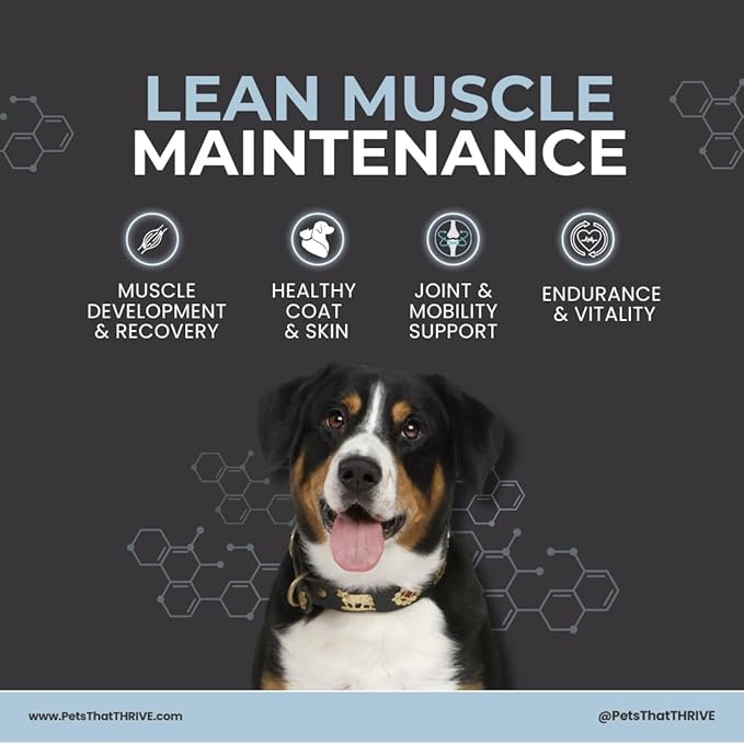 Thrive Daily Amino Acids for Dogs – Muscle Health, Recovery, Energy & Longevity – Supports Joints, Skin & Coat – Peanut Butter Soft Chews, 30 Count (4.8oz)