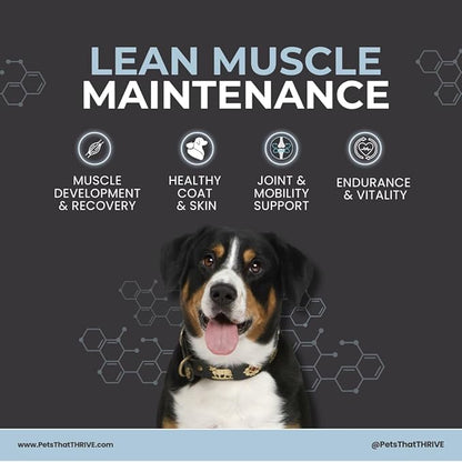 Thrive Daily Amino Acids for Dogs – Muscle Health, Recovery, Energy & Longevity – Supports Joints, Skin & Coat – Peanut Butter Soft Chews, 30 Count (4.8oz)