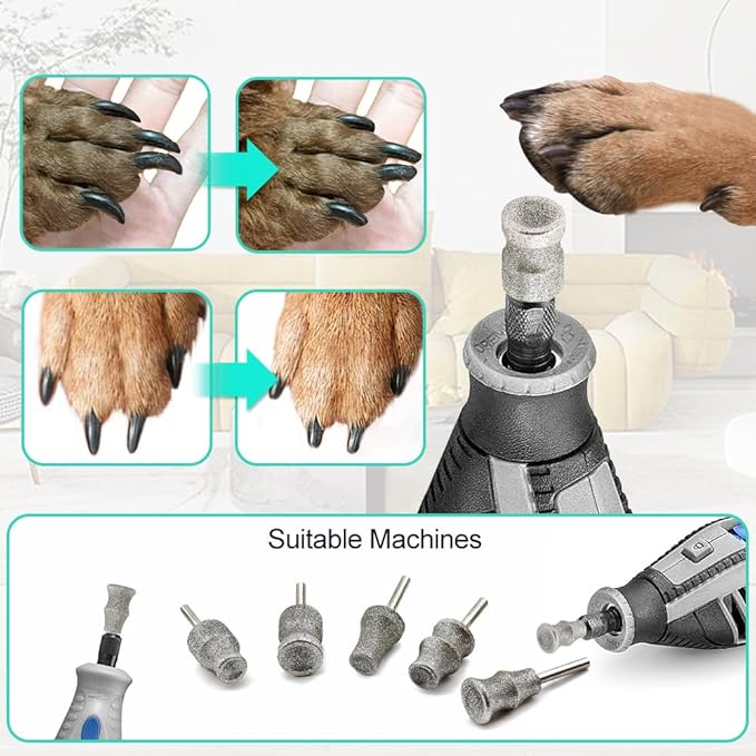 Dog Nail Grinder Bits - 2pcs 1/8" Animal Diamond Rotary Bit for Dogs and Cats, Pet Nail Grinder Wheel for Home Grooming Tools and Animal Nail Care