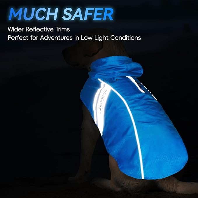 VIVAGLORY Wetoff Dog Raincoat, Rain Coat for Dog All Seasons Adventure, Rain Jacket with Harness Hole & Hood, Reflective Lightweight Waterproof for Doggy & Puppy, M, Blue