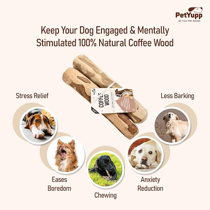 Natural Coffee Wood Dog Chew Large, 2 Count - Promotes Dental Health, Reduces Tartar & Chewing Exercise for Aggressive Chewers, Small, Medium & Large Dogs - Safe Chew Toy for Puppy
