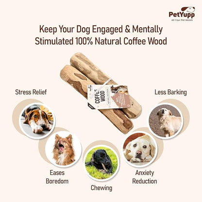 Natural Coffee Wood Dog Chew Large, 2 Count - Promotes Dental Health, Reduces Tartar & Chewing Exercise for Aggressive Chewers, Small, Medium & Large Dogs - Safe Chew Toy for Puppy