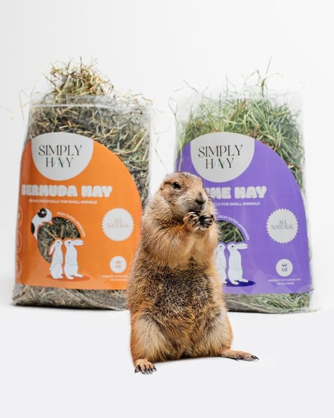 SimplyHay Bermuda Hay – High-Fiber, Low-Calcium Coastal Grass for Rabbits, Guinea Pigs & Small Pets – All-Natural, Hand-Packed, Timothy-Allergy Friendly (40 oz)