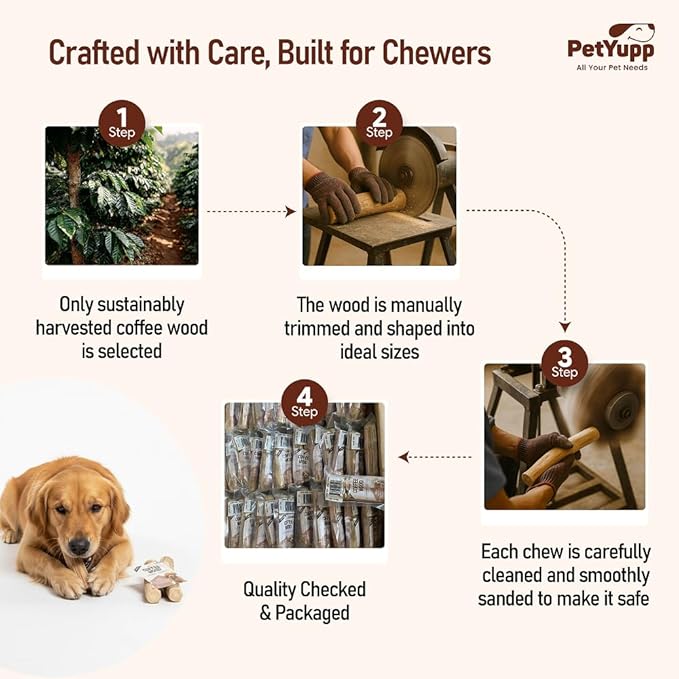 Natural Coffee Wood Dog Chew Medium, 2 Count - Promotes Dental Health, Reduces Tartar & Chewing Exercise for Aggressive Chewers, Small, Medium & Large Dogs - Safe Chew Toy for Puppy