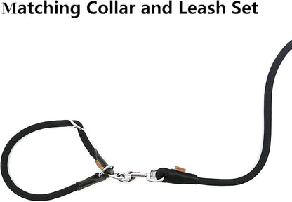 Dog Leash, Braided Rope Traction – Walking Training Lead for Small Dogs ((1/3") x 6FT, Black)