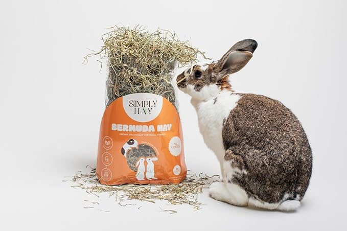 SimplyHay Bermuda Hay – High-Fiber, Low-Calcium Coastal Grass for Rabbits, Guinea Pigs & Small Pets – All-Natural, Hand-Packed, Timothy-Allergy Friendly (40 oz)