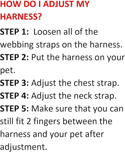 Voyager Step-in Air Cat Harness - All Weather Mesh Step in Vest Harness for Small and Medium Cats by Best Pet Supplies - Harness Leash Set (Black), XXS