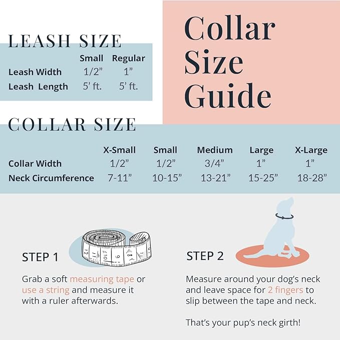 Lucky Love Dog - Easy Click Buckle Dog Collar with Leash Set Combo, Durable & Comfortable for Male & Female Dogs, Pet Collar for Small to Large Dogs, Secure Fit - Primrose Combo, Medium