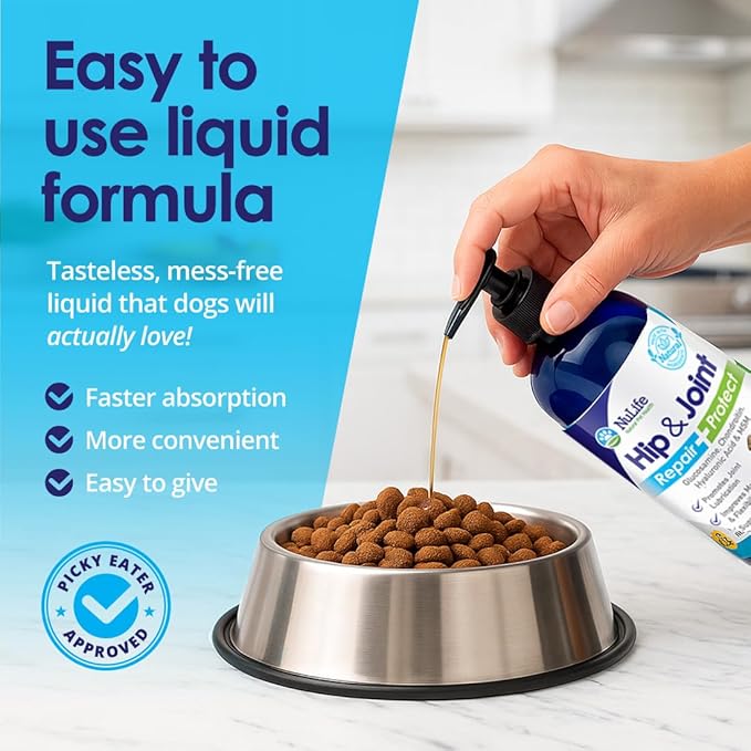 Liquid Glucosamine for Dogs - Advanced Joint Supplement for Dogs Ages with Chondroitin, MSM & Hyaluronic Acid - Repairs & Protects Joints, Supports Mobility & Pain Relief - 16oz
