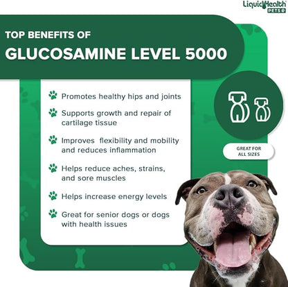 LIQUIDHEALTH Pets K9 Liquid Glucosamine Level 5000 for Large Dogs with Chondroitin, MSM, Boswellia Serrata - Dog Hip & Joint Health Vitamins for Dog Joint Pain, Pet Joint Oil Juice - USA Made (32 oz)