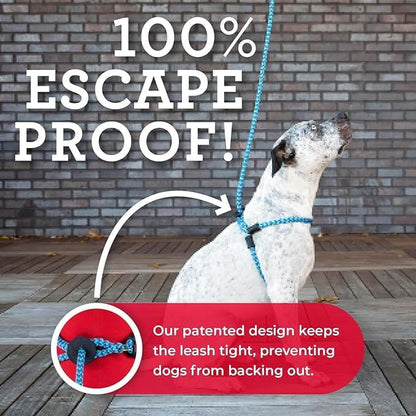 Harness Lead No Pull Dog Harness and Leash Set, Anti Pull Dog Harness for All Breeds and Sizes, One-Piece Cushioned Rope Design Safely Prevents Escaping and Pulling (Small/Medium, Reef)