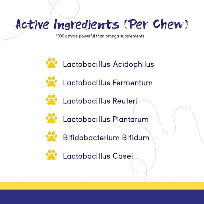 PupGrade Digestive Support Chews for Dogs - Prebiotic and Probiotic Supplement with Enzyme Blend - Upset Stomach, Diarrhea, Bowel, and Immune Support - Pumpkin, Blueberry, Mineral Oil - 360 Soft Chews