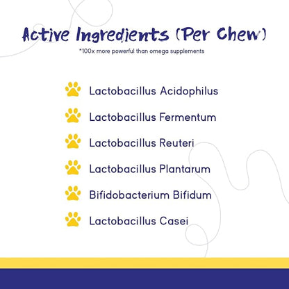 PupGrade Digestive Support Chews for Dogs - Prebiotic and Probiotic Supplement with Enzyme Blend - Upset Stomach, Diarrhea, Bowel, and Immune Support - Pumpkin, Blueberry, Mineral Oil - 360 Soft Chews