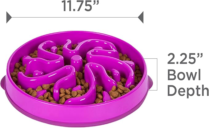Outward Hound Large Slow Feeder Bowl, Puzzle Maze for Fast Eaters, Medium to Large Dogs, Helps Prevent Bloat & Aid Digestion, Holds 4 Cups Wet or Dry Food, Non-Slip, Made Without BPA, Purple