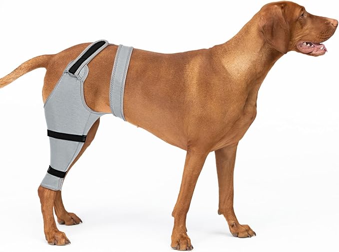 Dog Rear Leg Sleeve to Prevent Licking - Single Recovery Sleeve for Back Hind Leg, Wound Recovery After Surgery for Torn ACL/CCL TPLO Surgery