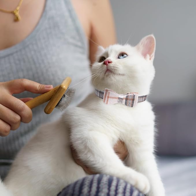 EXPAWLORER Puppy Collar and Leash Set - Classic Plaid Small Dog Collar with Bow Tie, Cute Dog Collar and Leash Set, Adjustable Dog Collar for Small Dogs Cats Holiday Birthday Gifts, Beige Small