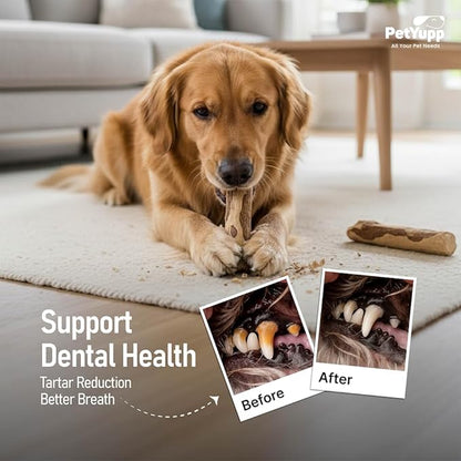 Natural Coffee Wood Dog Chew Large, 2 Count - Promotes Dental Health, Reduces Tartar & Chewing Exercise for Aggressive Chewers, Small, Medium & Large Dogs - Safe Chew Toy for Puppy