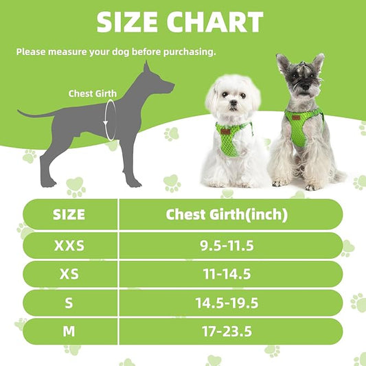 PUPTECK Dog Harness and Leash Set Small Sized, Step-in Cute Puppy Harness, Soft Lightweight Padded Vest, Escape Proof No Pull Pet Harnesses Easy for Walking, Green, XS