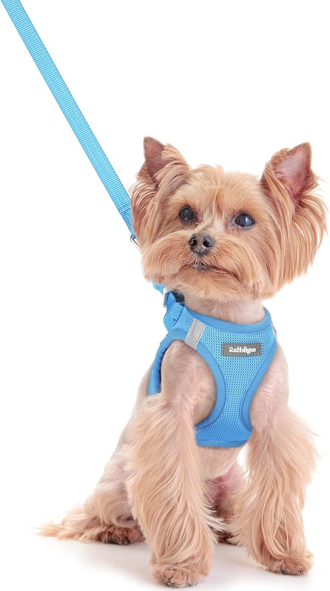 rabbitgoo Dog Harness Small Sized and Leash Set, Step in Soft Light Puppy Vest, Breathable Mesh Pet Harness, Reflective for Safe Easy Walking, Blue XS