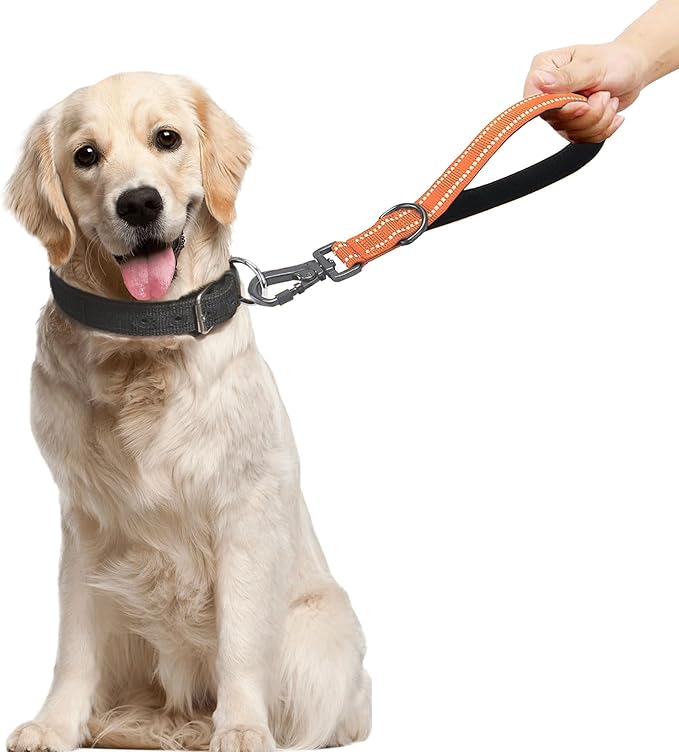 12” Short Dog Leashes, Reflective Nylon Padded Handle, Heavy Duty Strong Traffic Leash with Locking Carabiner Clip, Perfect for Large Dogs (Orange,12 Inch)