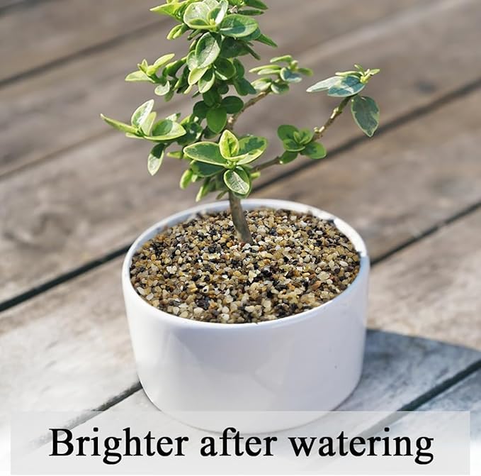 2 lbs Aquarium Sand. 1/16 Inch Fish Tank Coarse Sand Pea Gravel for Substrate, Terrariums, Vase, Plant, Soil Cover and Outdoor Landscaping