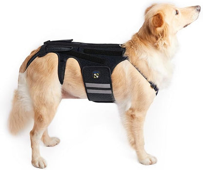 Coodeo Dog Back Brace for Dogs Arthritis, Pet Back Bracer for IVDD, Back Protector Helps Pain Relief, Surgical Recovery and Rehabilitation, Dogs Back Disease Prevention. (Black,X-Large)