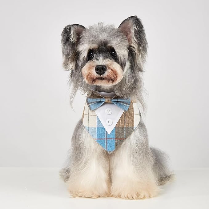 HDGDT Fall Dog Tuxedo Bandana, Orange Plaid Pet Collar with Bowtie, Adjustable Halloween Thanksgiving Dog Tux Costume for Small to Extra Large Pets