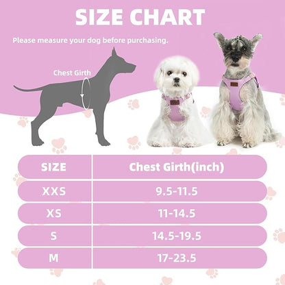 PUPTECK Dog Harness and Leash Set Small Sized, Step-in Cute Puppy Harness, Soft Lightweight Padded Vest, Escape Proof No Pull Pet Harnesses Easy for Walking, Purple, XS