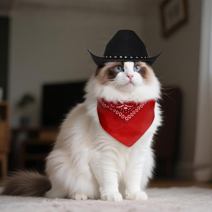 choyaxo Halloween Costumes for Dogs Cat Pet Cowboy Costume Cowboy Hat with Bandana Set for Halloween, Christmas, Holiday, Party, Cosplay (Black, Large)