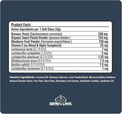 Allergy Relief & Probiotic Chews for Dogs – Immune, Gut & Digestive Health Supplement – Seasonal Allergy, Itching & Yeast Support with Skin & Coat Benefits – Dog Treats with Probiotics (90 Chews)