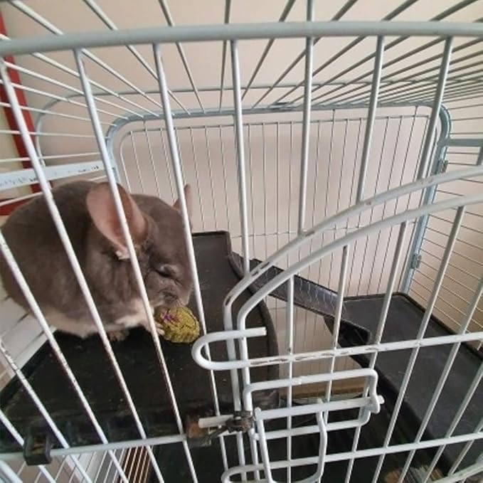 36Pcs Bunny Chew Toys,Natural Timothy Hay Handmade Grass Cakes Molar Treats for Bunny Chinchilla Guinea Pig Dwarf Rabbit Improves Teeth Health