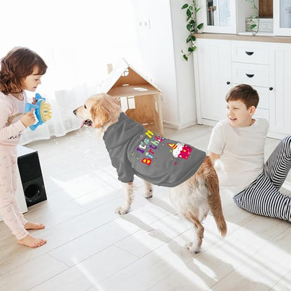 GreenJoy Dog Sweater Dog Hoodie Cold Weather Coat Hooded Sweatshirt for Puppies,Cats, Small Medium Large Dogs (Grey(It's My Birthday), X-Small)