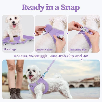 rabbitgoo Dog Harness Small Sized and Leash Set, Step in Soft Light Puppy Vest, Breathable Mesh Pet Harness, Reflective for Safe Easy Walking, Light Purple XS