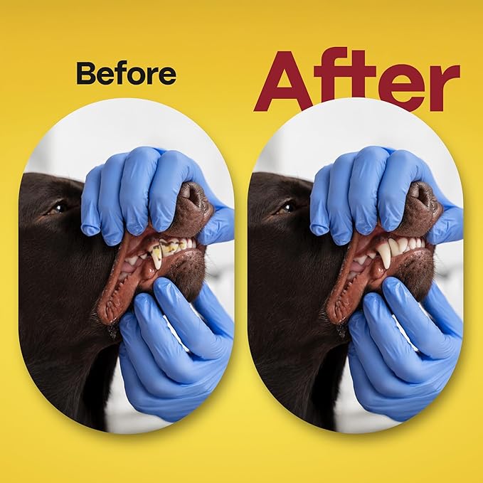 DOCO Dog Teeth Cleaning Wipes Dental Finger Wipes for Cats & Dogs Remove Plaque & Tartar, Freshen Breath, No Rinse, Easy & Effective Pet Tooth Cleaning Kit for Oral Care (Chicken Flavor, 50 Count)