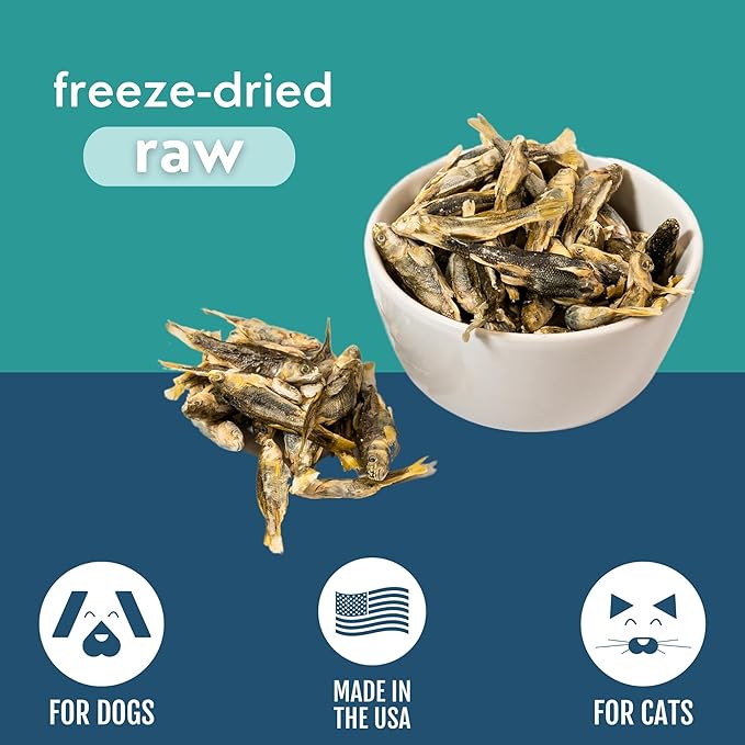 Momentum Carnivore Nutrition Freeze-Dried Minnows Dog Treats & Cat Treats – Single-Ingredient, High-Protein, Grain-Free, Natural Whole-Fish Treat – Made in USA – 2 oz Bag