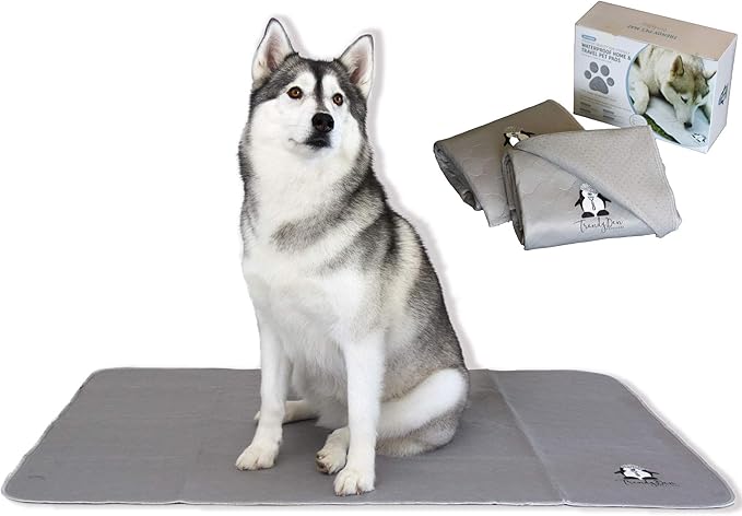 Washable Pee Pads for Dogs XXL (2 Pack), Reusable Puppy Training Pads, Ultra Absorbent & Waterproof Pet Mat for Senior Dogs, Non-Slip, Floor & Furniture Protector (36"x48") by Trendy Den Creations